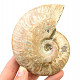 Ammonite with opal shine 263g