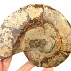 Ammonite half (Madagascar) 364g