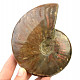 Ammonite with opal shine 408g