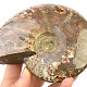 Ammonite with opal shine 467g