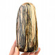 Zkamenělé dřevo freeform (Madagaskar) 1130g