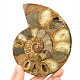 Ammonite half (Madagascar) 440g