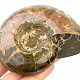 Collectible ammonite with opal shine 289g