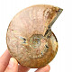 Collectible ammonite with opal shine 274g