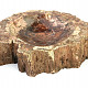 Miska ze zkamenělého dřeva (3597g)