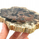 Zkamenělé dřevo plátek (312g)