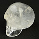 Crystal skull 303g