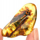 Amber from Lithuania 6.1g