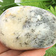 Smooth dendritic opal 110g