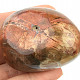 Petrified wood from Madagascar 125g