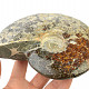 Selected ammonite 661g in total