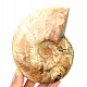 Whole ammonite - opal luster (981g)