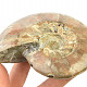 Ammonite whole with opal luster (346g)