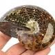 Selected ammonite 292g in total