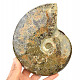 Selected ammonite 1412g in total