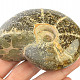 Selected ammonite 393g in total