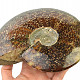 Whole ammonite (1468g)