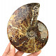 Ammonite 675g in total