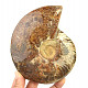 Ammonite with opal luster whole (837g)