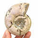Ammonite whole with opal luster 330g