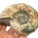 Ammonite whole with opal luster 533g