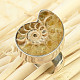 Ammonite ring size 54 Ag 925/1000 9.6g