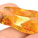Collector's Amber (6.9g)