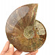 Ammonite with opal luster whole (729g)