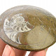 Ammonite in rock fossil (Erfoud, Morocco) 119g
