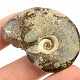 Ammonite whole with opal luster (31g)