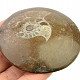 Fossil ammonite in rock (Erfoud, Morocco) 73g