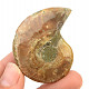 Ammonite whole with opal luster (32g)