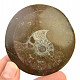 Fossil ammonite in rock (Erfoud, Morocco) 73g