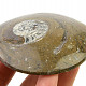 Fossil ammonite in rock (Erfoud, Morocco) 89g