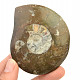 Zkamenělý amonit v hornině (Erfoud, Maroko) 86g