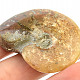 Fossil ammonite with opal luster (30g)