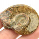 Fossil ammonite with opal luster (32g)