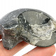 Goniatite fossil Morocco 66g