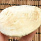 Fossil shells for collectors 174g