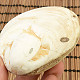 Fossil shells for collectors 178g