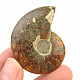 Fossil ammonite whole with opal luster (24g)