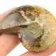 Ammonite with opal luster (47g)