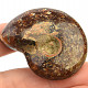 Ammonite with opal luster (40g)