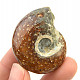 Ammonite whole with opal luster (37g)