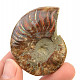 Fossil ammonite with opal luster (33g)