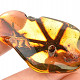 Choice amber from Lithuania 15.9g