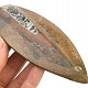 Fossilized orthoceras from Morocco (115g)
