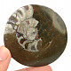 Ammonite in rock fossil (Erfoud, Morocco) 82g