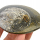 Fossil ammonite in rock (Erfoud, Morocco) 122g