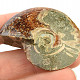 Ammonite whole with opal luster (23g)